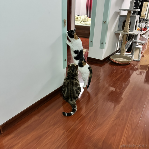 逃离月球表面于2023-05-13 21:49发布的图片