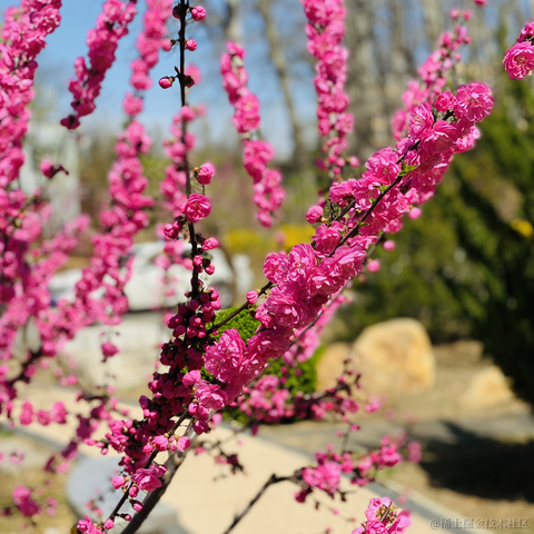 lizheming于2021-03-29 13:45发布的图片