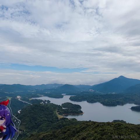 脆弱杨桃干于2022-11-14 20:39发布的图片