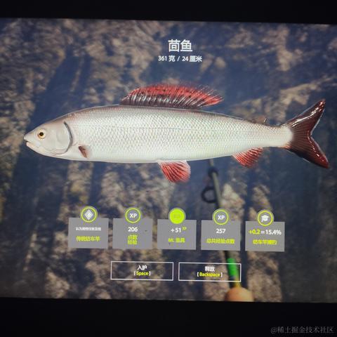 rain2333于2022-11-22 21:18发布的图片