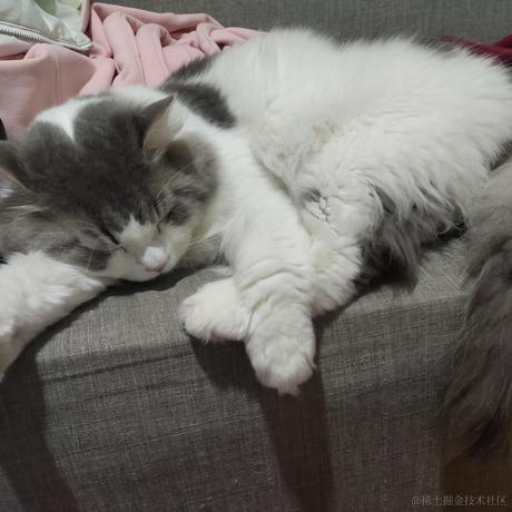 吵钢yu于2024-03-04 17:13发布的图片