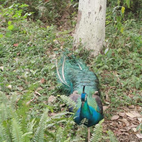 蜜拉贝儿于2023-06-24 07:18发布的图片