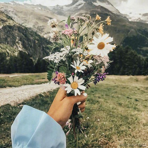 热血的兔子于2021-06-03 16:05发布的图片