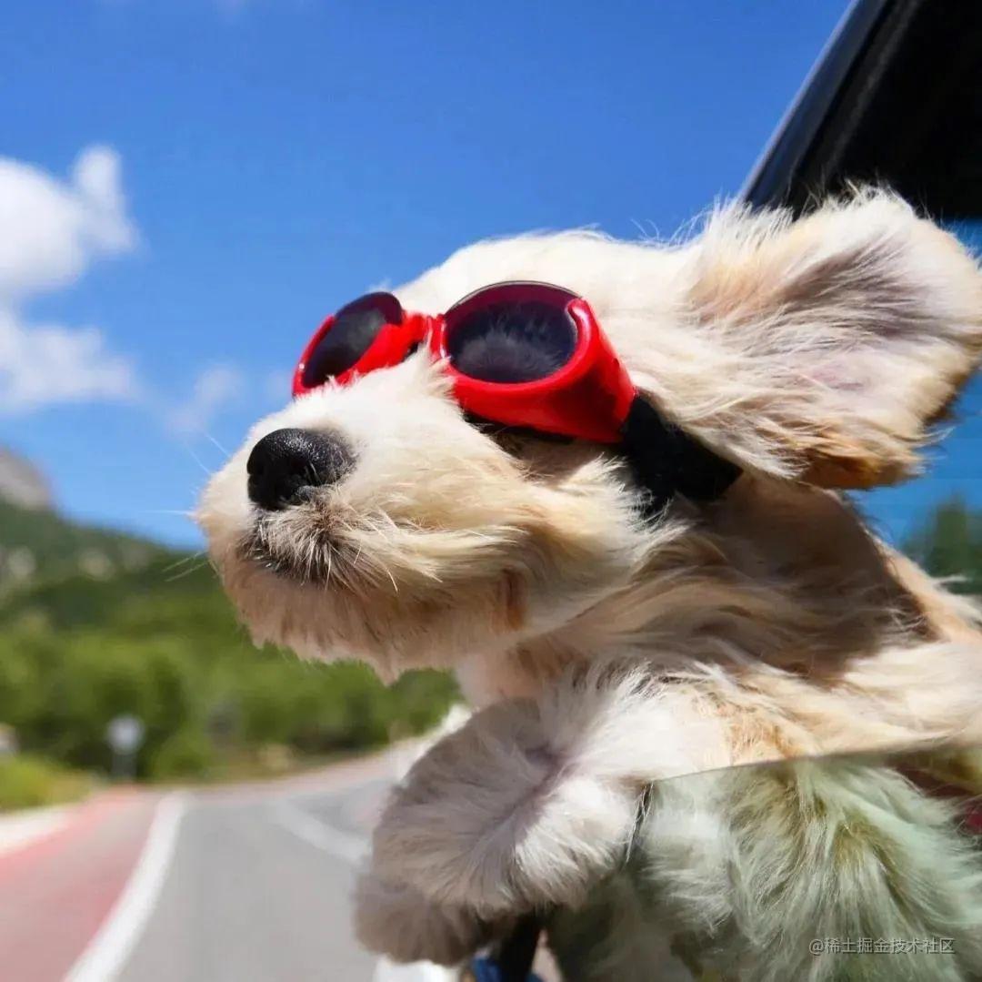 数据结构和算法