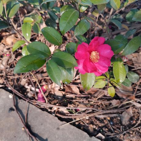 用户30819829021于2024-02-01 12:50发布的图片