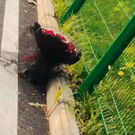 一名cv战士于2023-08-23 16:07发布的图片