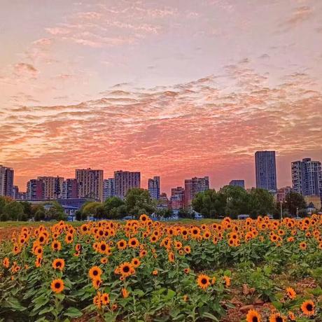 lttstorecom于2022-11-09 12:55发布的图片