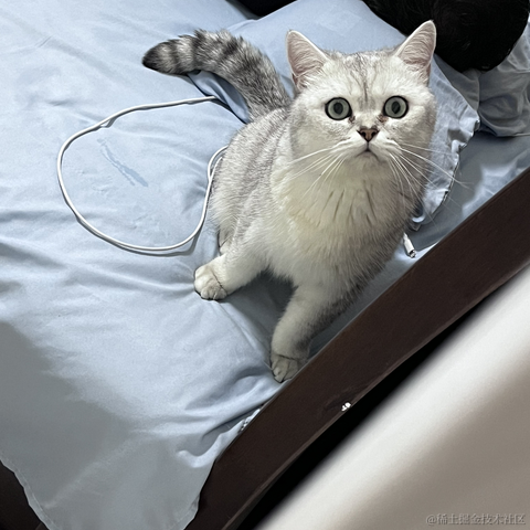 用户5832511041996于2023-02-09 02:22发布的图片