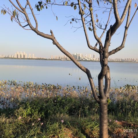 废喵喵呜于2023-11-18 09:55发布的图片
