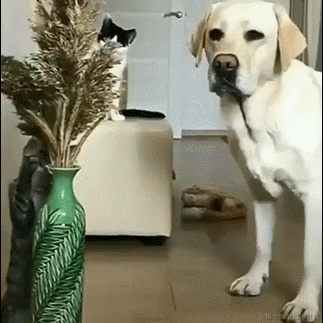 Daniel_01于2022-07-21 09:57发布的图片