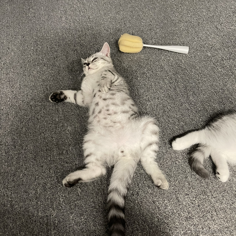 晚比大魔王于2022-11-25 09:04发布的图片