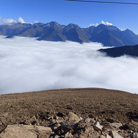 一个魂魂于2022-11-15 09:02发布的图片