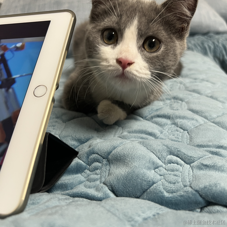 秋秋秋糖于2023-06-02 12:43发布的图片