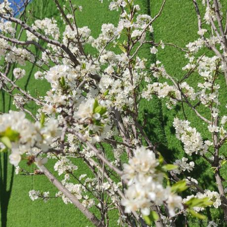 用户1008683613726于2023-04-25 16:18发布的图片