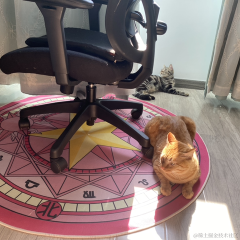 avavaava于2022-11-13 02:20发布的图片