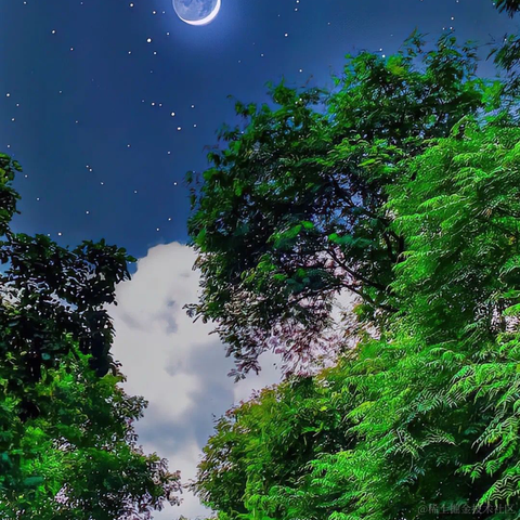 码界西柚于2023-01-18 00:42发布的图片