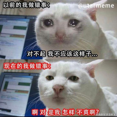 老王总于2020-10-17 09:51发布的图片