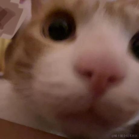 有一只猪于2022-06-06 22:21发布的图片