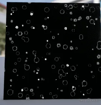 GIF 2021-1-5 21-32-16.gif