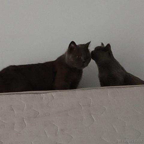 漾雾于2023-05-12 16:43发布的图片