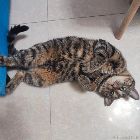 寒霜于2023-05-19 10:05发布的图片