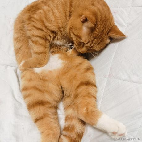 柯南小海盗001于2022-12-18 19:52发布的图片