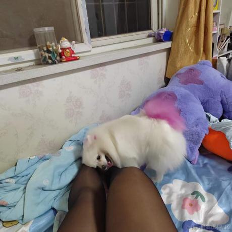 曹操字孟德于2022-09-05 08:22发布的图片