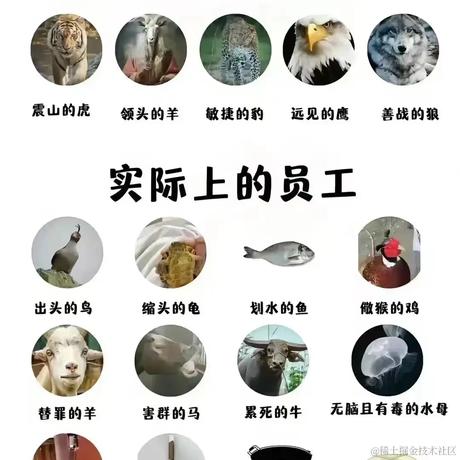 觉知四季于2023-10-13 14:55发布的图片