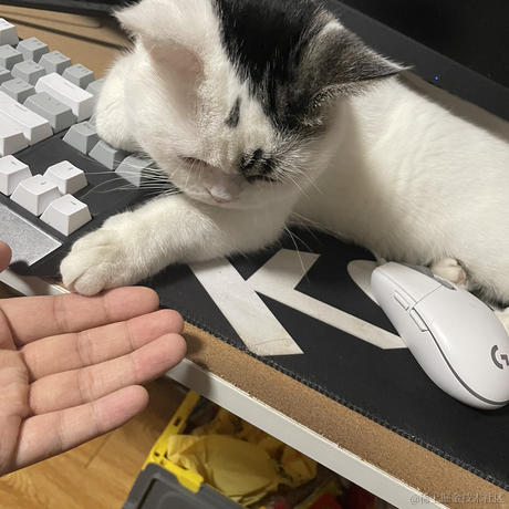 肥肥龙于2022-11-20 22:46发布的图片