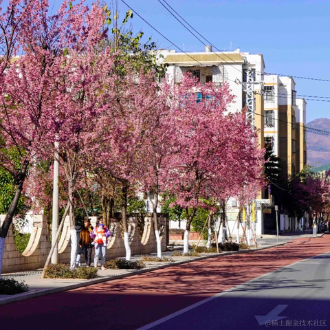 冬日暖阳一片云于2023-03-14 18:06发布的图片