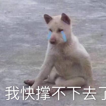 不可言_不必言于2020-12-31 12:39发布的图片