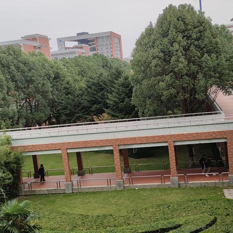 草莓捏于2022-11-20 09:55发布的图片