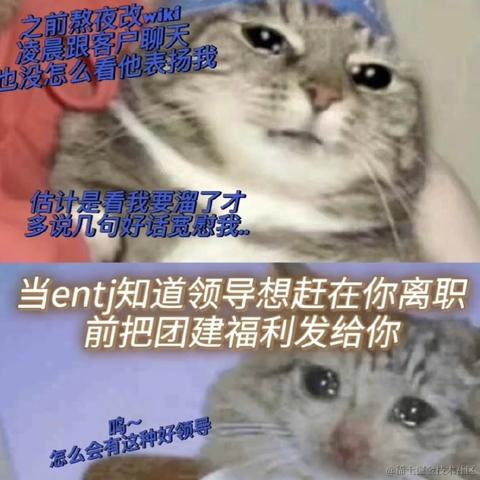 拉布拉多_于2023-05-31 15:17发布的图片