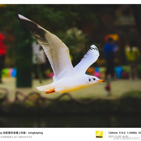 光影童于2023-12-11 11:15发布的图片