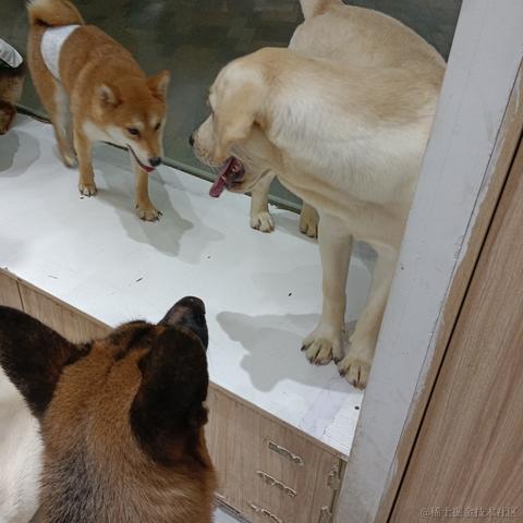 心想事成717于2023-07-06 18:56发布的图片