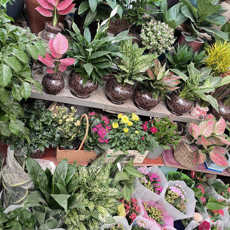 啾啾哼于2022-10-27 18:40发布的图片