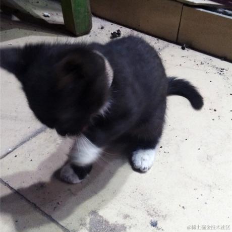 半月转转于2022-12-13 10:52发布的图片