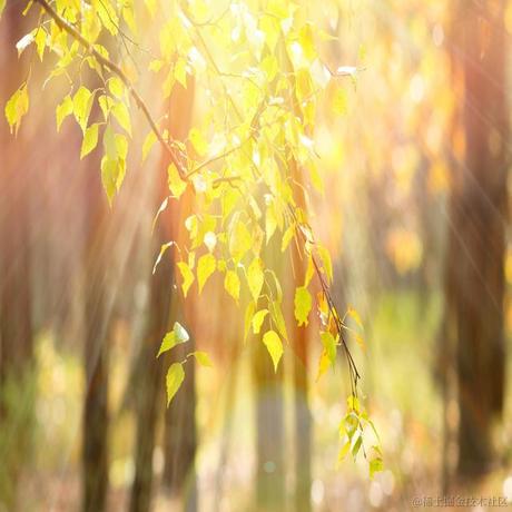 抚琴奏忧伤于2023-05-27 13:35发布的图片