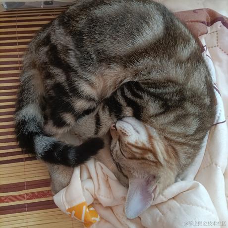 超级嘉贝于2023-06-24 15:58发布的图片