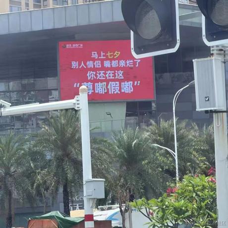 橘猫c于2023-08-21 11:08发布的图片