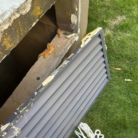 潜水摸鱼于2023-08-31 17:40发布的图片