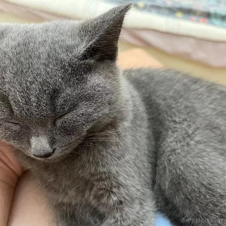 阿里巴巴首席架构师于2022-09-26 11:14发布的图片