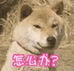 20769C0D.gif