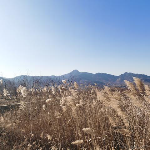 你好我就要起飞了于2021-09-14 10:45发布的图片