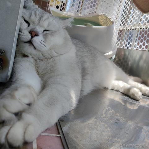 叨叨呀于2022-06-16 09:46发布的图片