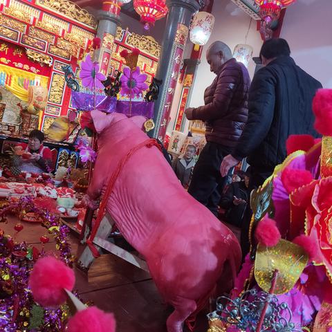 像风一样自由_xjy于2023-02-05 09:00发布的图片
