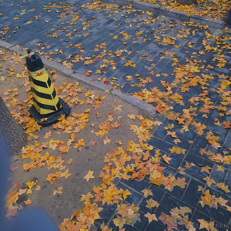 Tomboynxde于2022-11-12 00:11发布的图片