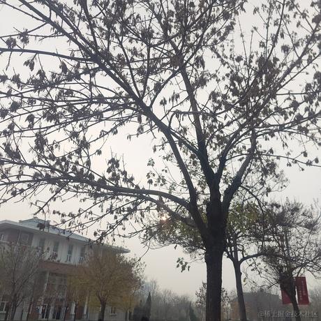 张不朽于2022-11-30 10:24发布的图片