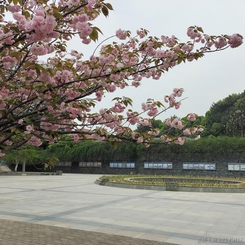 老王357于2023-04-11 20:41发布的图片