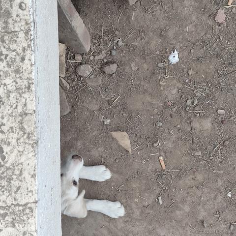 用户1008683613726于2023-04-27 20:43发布的图片